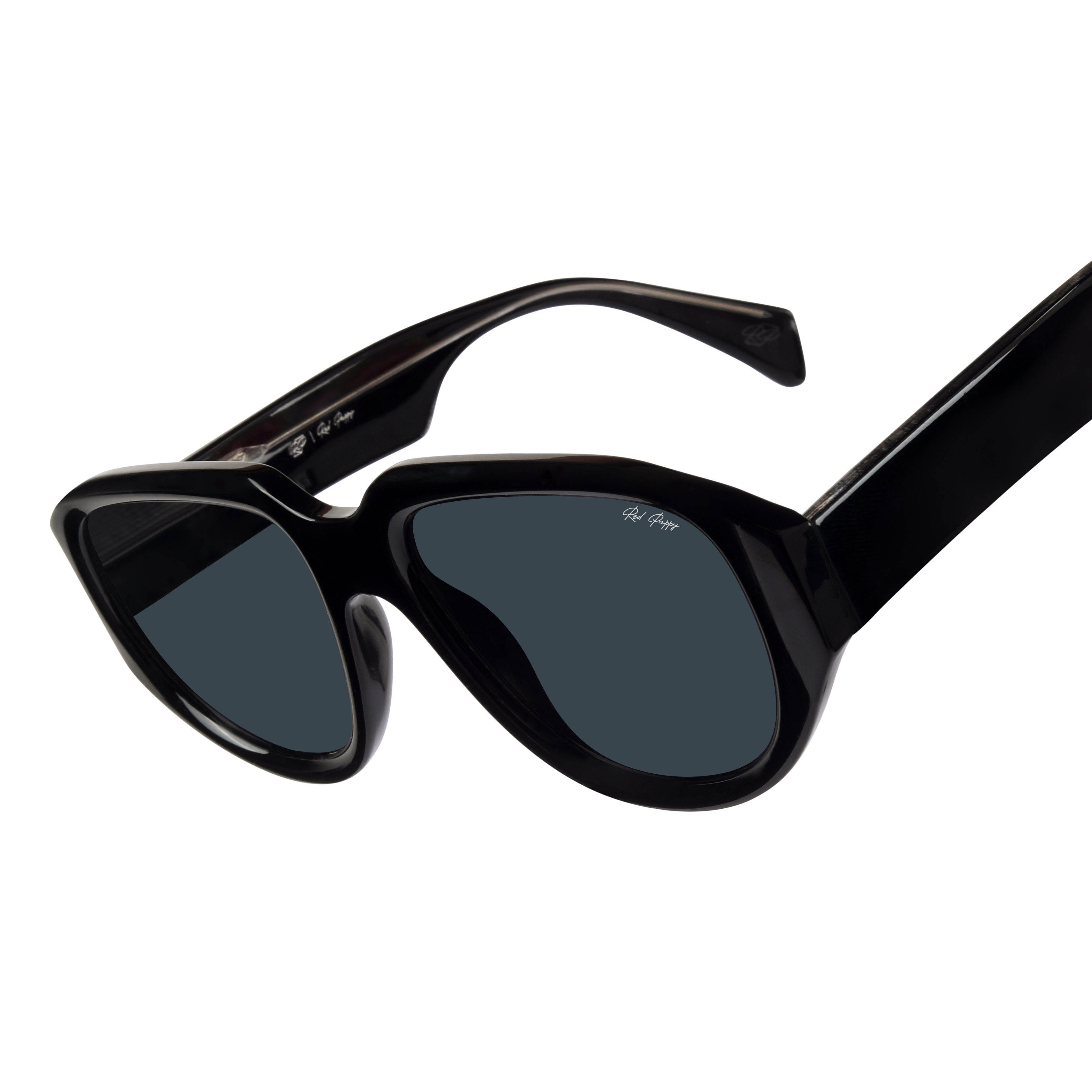 Lumivista Black Oversized Sunglasses