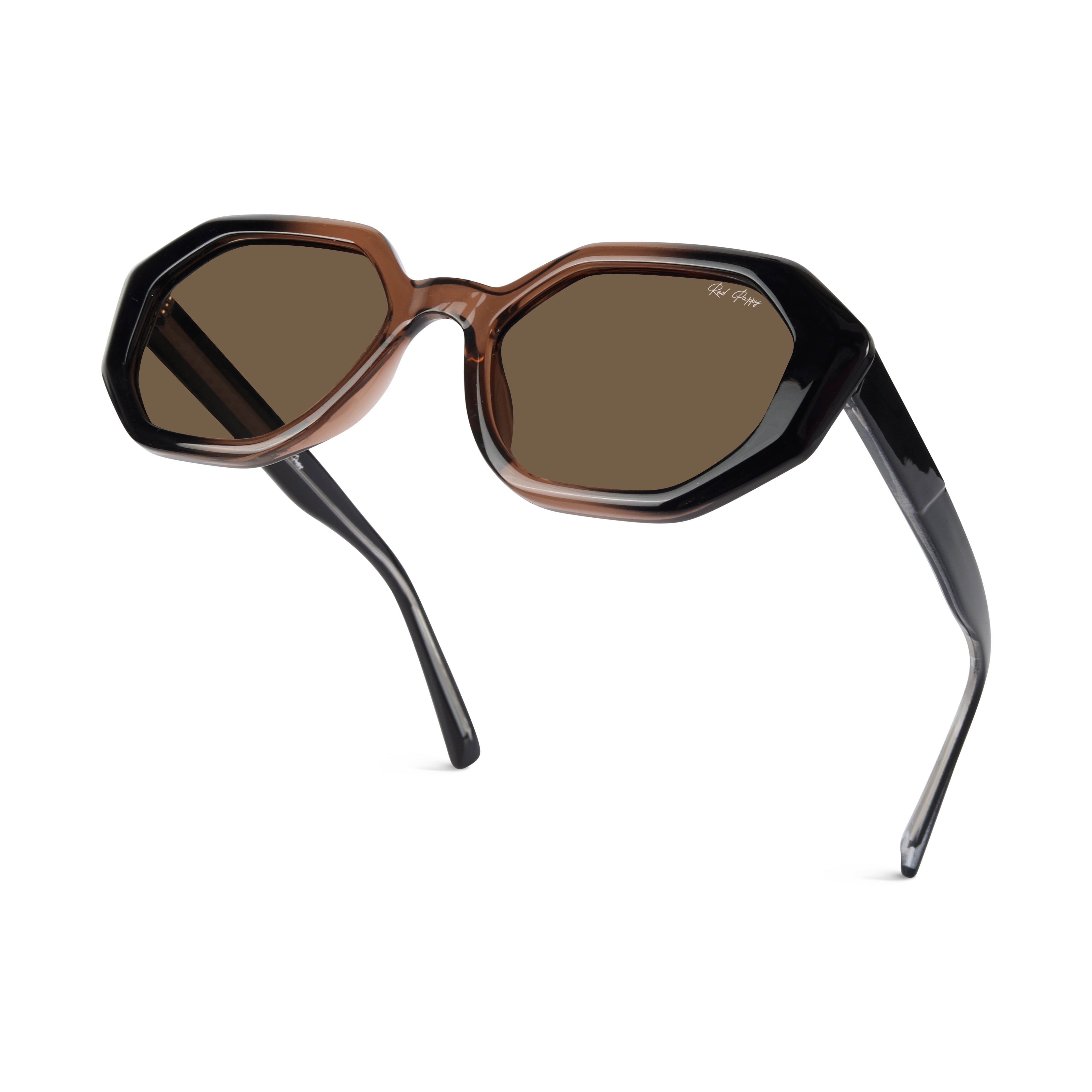 Rayvex Brown Polarized Hexagonal Sunglasses